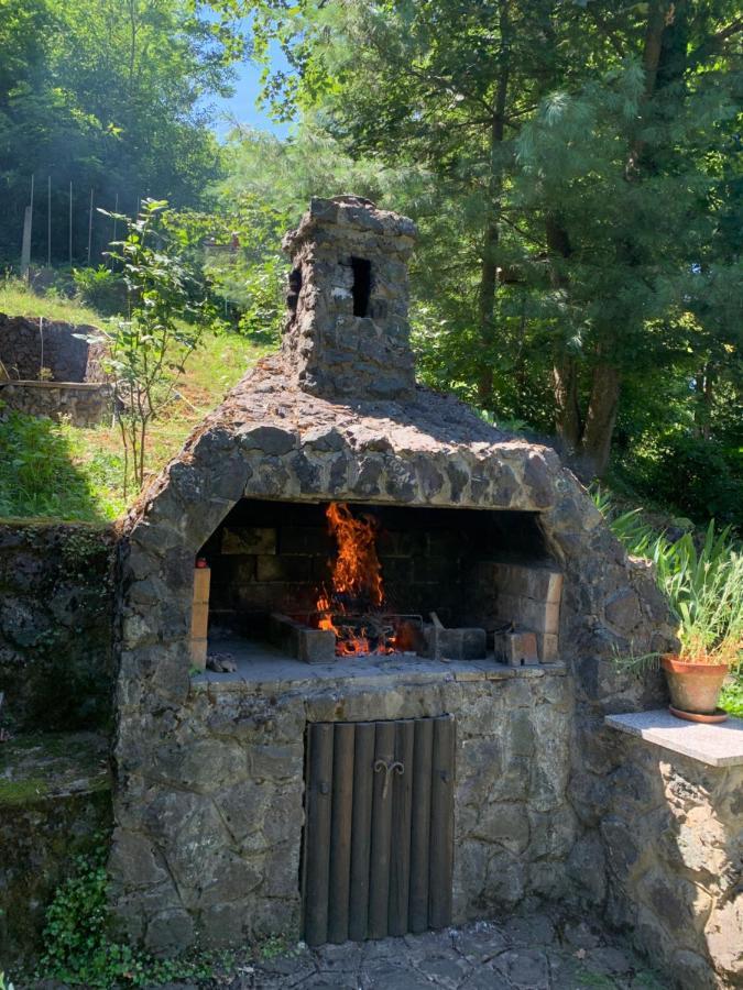 Holiday Home Dragonfly River House On Korana Near Plitvice And Mreznica Barilovic Экстерьер фото
